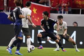 许多国内球